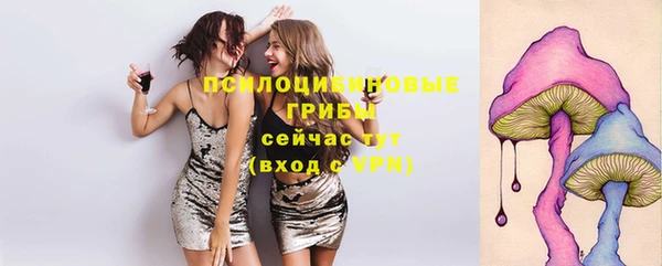 гидропоника Осташков