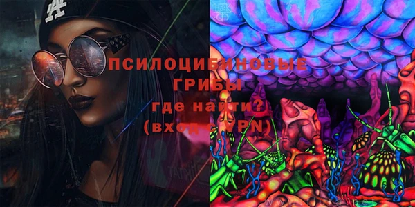 гидропоника Осташков