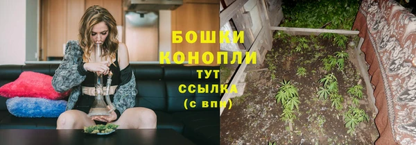 дмт Остров